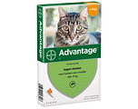 Advantage Kat 4ST