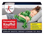 Lucovitaal Verzwaringsknuffel 1ST