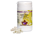 Holisan Garcinia Capsules 60CP
