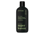 Attitude Super Leaves Men Versterkende 2-In-1 Shampoo & Conditioner 415ML