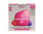 Waterdrop Microlyte Berry Electrolyte Hydration Cubes 12ST