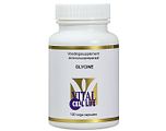 Vital Cell Life Glycine Capsules 100CP
