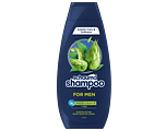 Schauma Shampoo For Men Voor Elke Dag 400ML