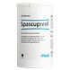 Heel Spascupreel H Tabletten 250TB