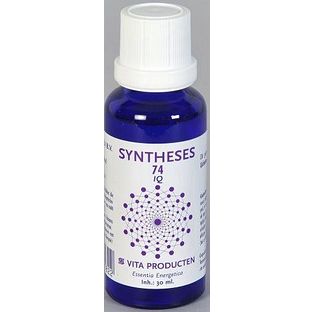 Vita Producten Vita Syntheses 74 IQ 30ML