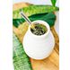 Rio Amazon Theebuiltjes Yerba Maté 40ST
