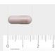AOV 540 Chroom Picolinaat 200mcg Vegacaps 60VCP Afmeting capsule