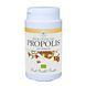 Michel Merlet Propolis Capsules 90CP Michel Merlet Propolis Capsules 90CP