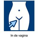 In de vagina