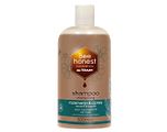 Bee Honest Shampoo Rozemarijn & Cipres 500ML