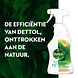 Dettol Allesreiniger Spray Mandarijn & Citroenbloesem 500ML Dettol Allesreiniger Spray Mandarijn & Citroenbloesem flacon Dettol Allesreiniger Spray Mandarijn & Citroenbloesem 500ML Dettol Allesreiniger Spray Mandarijn & Citroenbloesem flacon