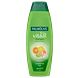 Palmolive Shampoo Fris Vitaal Citrus-Extract 350ML