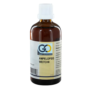 GO Gemmo Oplossingen Ampelopsis Weitchii Druppels 100ML GO Gemmo Oplossingen Ampelopsis Weitchii Druppels 100ML