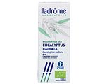 Ladrôme Eucalyptus Radiata Olie Bio 10ML