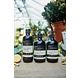 Baylis & Harding Goodness Douchegel Citroengras & Gember 500ML Baylis & Harding Goodness Douchegel Citroengras & Gember 500ML