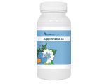 Balance Pharma Probioticum 90VCP