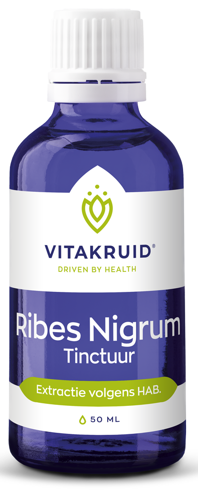 Vitakruid Ribes Nigrum Zwarte bes tinctuur 1:10 50