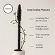 Dr. Hauschka Long Lasting Mascara Black 01 8ML voordelen