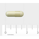 AOV 220 Pyridoxaal-5-fosfaat Capsules 120VCP Afmeting capsule 1,7cm AOV 220 Pyridoxaal-5-fosfaat Capsules 120VCP Afmeting capsule 1,7cm