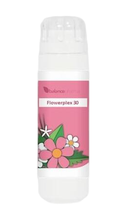 Balance Pharma Flowerplex 031 Levensverandering 6GR
