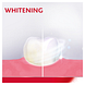 Parodontax Strengthen & Protect Whitening Tandpasta 75ML Parodontax Strengthen & Protect Whitening Tandpasta 75ML