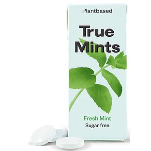 True Gum True Mints Fresh Mint 13GR