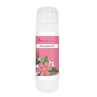 Balance Pharma Flowerplex 024 Vreugde 6GR Balance Pharma Flowerplex 024 Vreugde 6GR