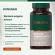 Bonusan Berberis Vulgaris Extract Capsules 60CP