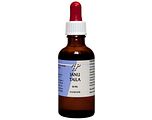 Holisan Janu Taila Olie 50ML