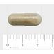 AOV 313 Vitamine C 500mg Vegacaps 90VCP Afmeting capsule AOV 313 Vitamine C 500mg Vegacaps 90VCP Afmeting capsule