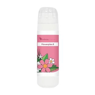 Balance Pharma Flowerplex 08 Vrouwelijke Expressie 6GR Balance Pharma Flowerplex 08 Vrouwelijke Expressie 6GR