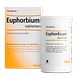 Heel Euphorbium Compositum Tabletten 250TB Heel Euphorbium Compositum Tabletten 250TB