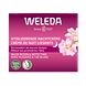 Weleda Vitaliserende Nachtcrème Wilde Rozen & Witte Thee 40ML Weleda Vitaliserende Nachtcrème Wilde Rozen & Witte Thee 40ML