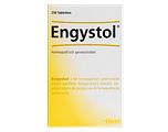 Heel Engystol Tabletten 250TB