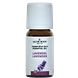 Jacob Hooy Essentiële Olie Lavendel 10ML