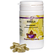 Holisan Karela Capsules 60CP Holisan Karela Capsules 60CP