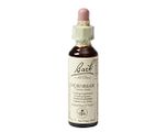 Bach Flower Remedies Haagbeuk 17 20ML