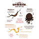 unwaste Duopack Koffieolie & Koffiedik 80GR