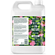 Faith in Nature Wildrose Shampoo 5LT