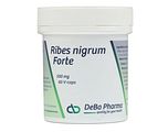 DeBa Pharma Ribes Nigrum Forte Capsules 60VCP DeBa Pharma Ribes Nigrum Forte Capsules 60VCP