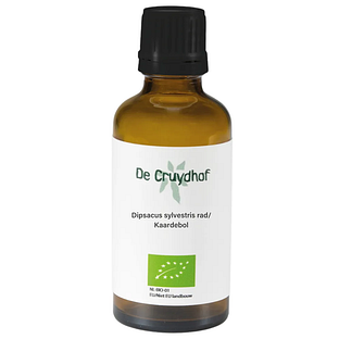 Cruydhof Dipsacus Sylvestris Rad/Kaardebol Druppels 50ML Cruydhof Dipsacus Sylvestris Rad/Kaardebol Druppels 50ML