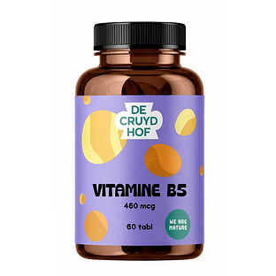 Cruydhof Vitamine B5 Tabletten 60TB
