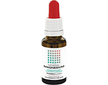 Pharmanutrics Mineral Magnesium Druppels 50ML
