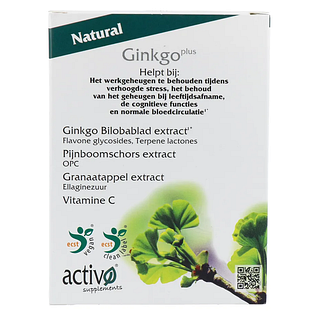 Activo Ginkgo Plus Capsules 60CP