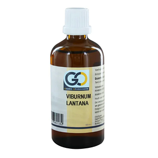 GO Gemmo Oplossingen Viburnum Lantana Druppels 100ML