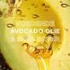 Garnier Loving Blends Conditioner Avocado Olie 200ML
