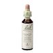 Bach Flower Remedies Bosrank 09 20ML Bach Flower Remedies Bosrank 09 20ML
