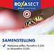 Roxasect Spuitbus Tegen Kruipende Insecten En Wespen 400ML Roxasect Spuitbus Tegen Kruipende Insecten En Wespen 400ML