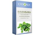 Cydonia Ravensara Vaginaaltabletten 10ST Cydonia Ravensara Vaginaaltabletten 10ST
