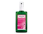 Weleda Wilde Rozen Deodorant 100ML